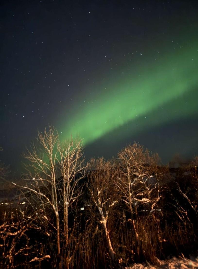 Koselig Leilighet I Narvik Sentrum 5 Soveplasser Gratis Parkering Og Gratis Internett 외부 사진