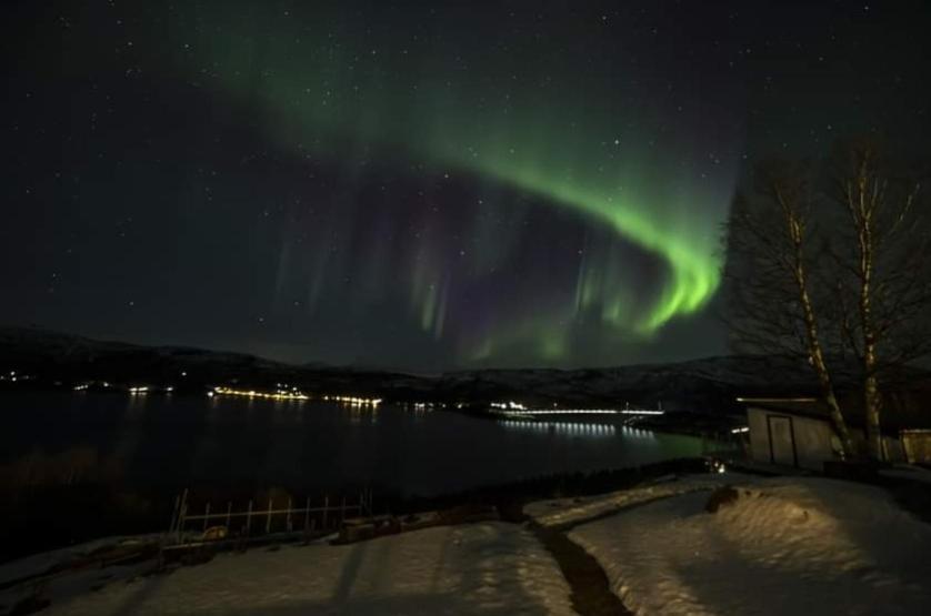 Koselig Leilighet I Narvik Sentrum 5 Soveplasser Gratis Parkering Og Gratis Internett 외부 사진